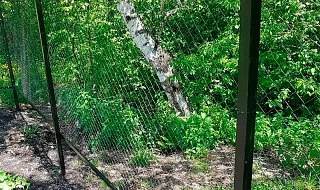 �����: ����� �� ������ ������� � ���������� ��� ����